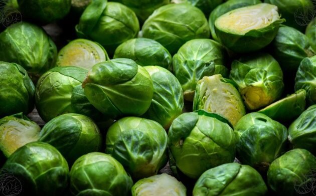 can chickens eat Brussels sprouts