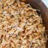 Wheat Sprouts