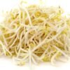 White Sprouts